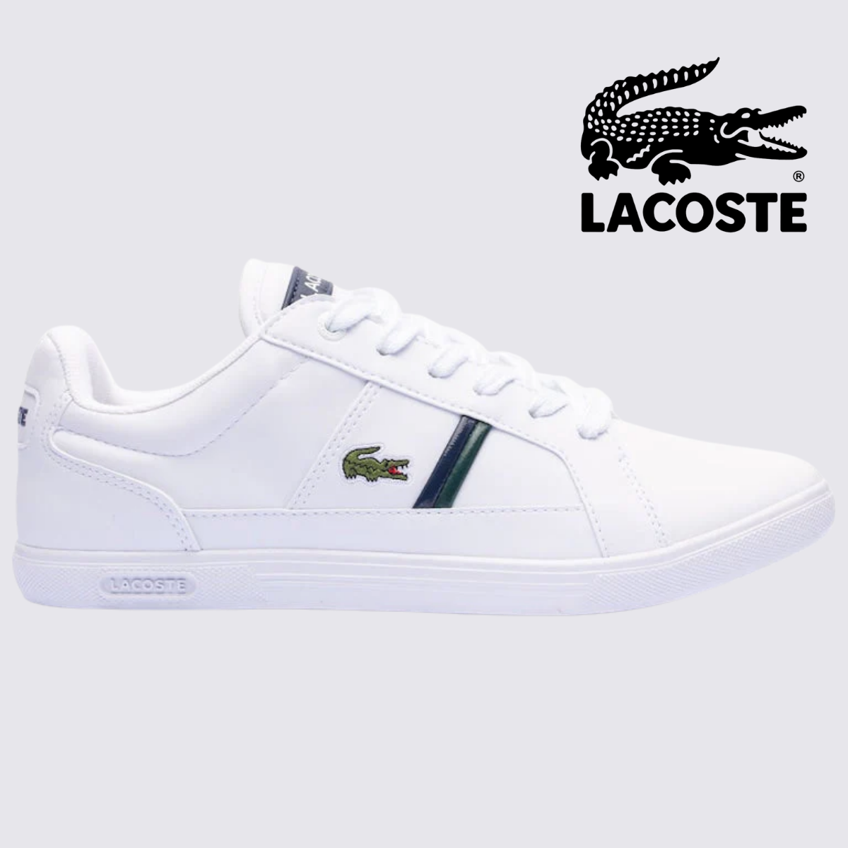 Sapatênis Lacoste Europa - ÚLTIMO DIA DE PROMOÇÃO
