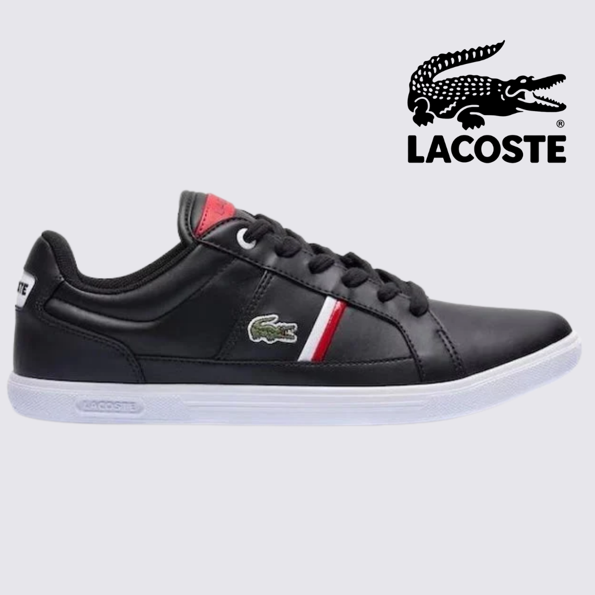 Sapatênis Lacoste Europa - ÚLTIMO DIA DE PROMOÇÃO